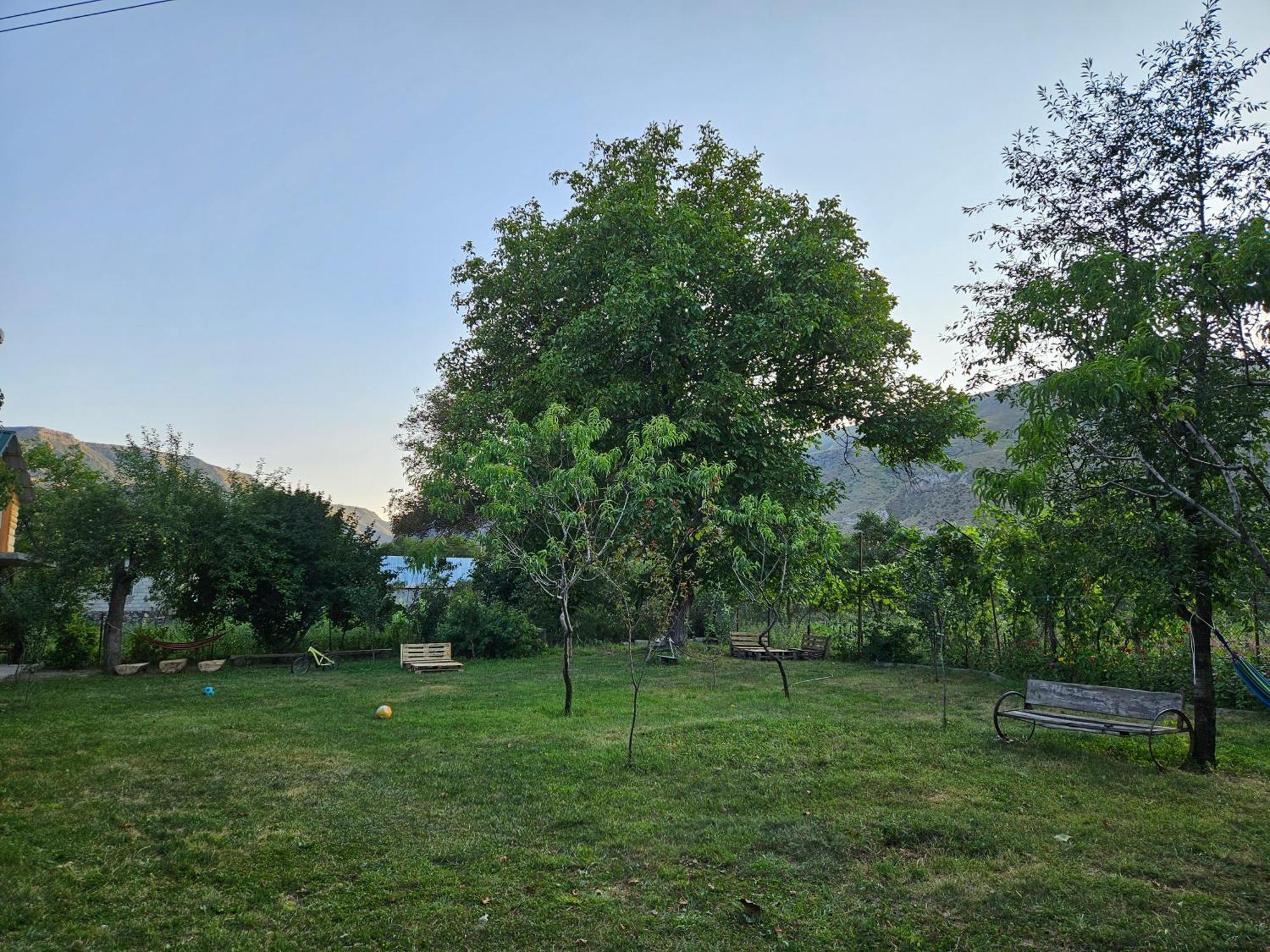 T'mogvi Guest House Aleksandre מראה חיצוני תמונה