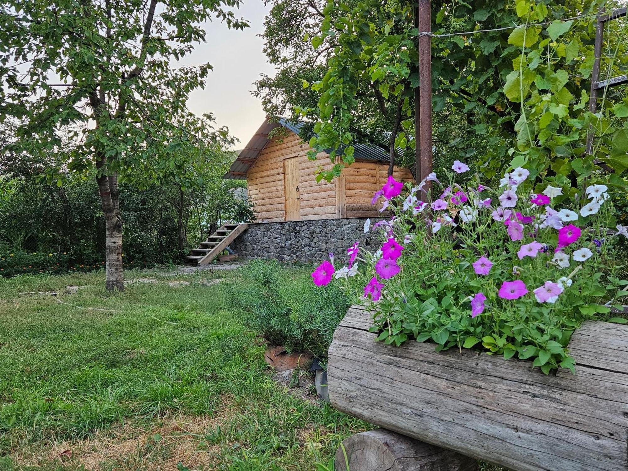T'mogvi Guest House Aleksandre מראה חיצוני תמונה