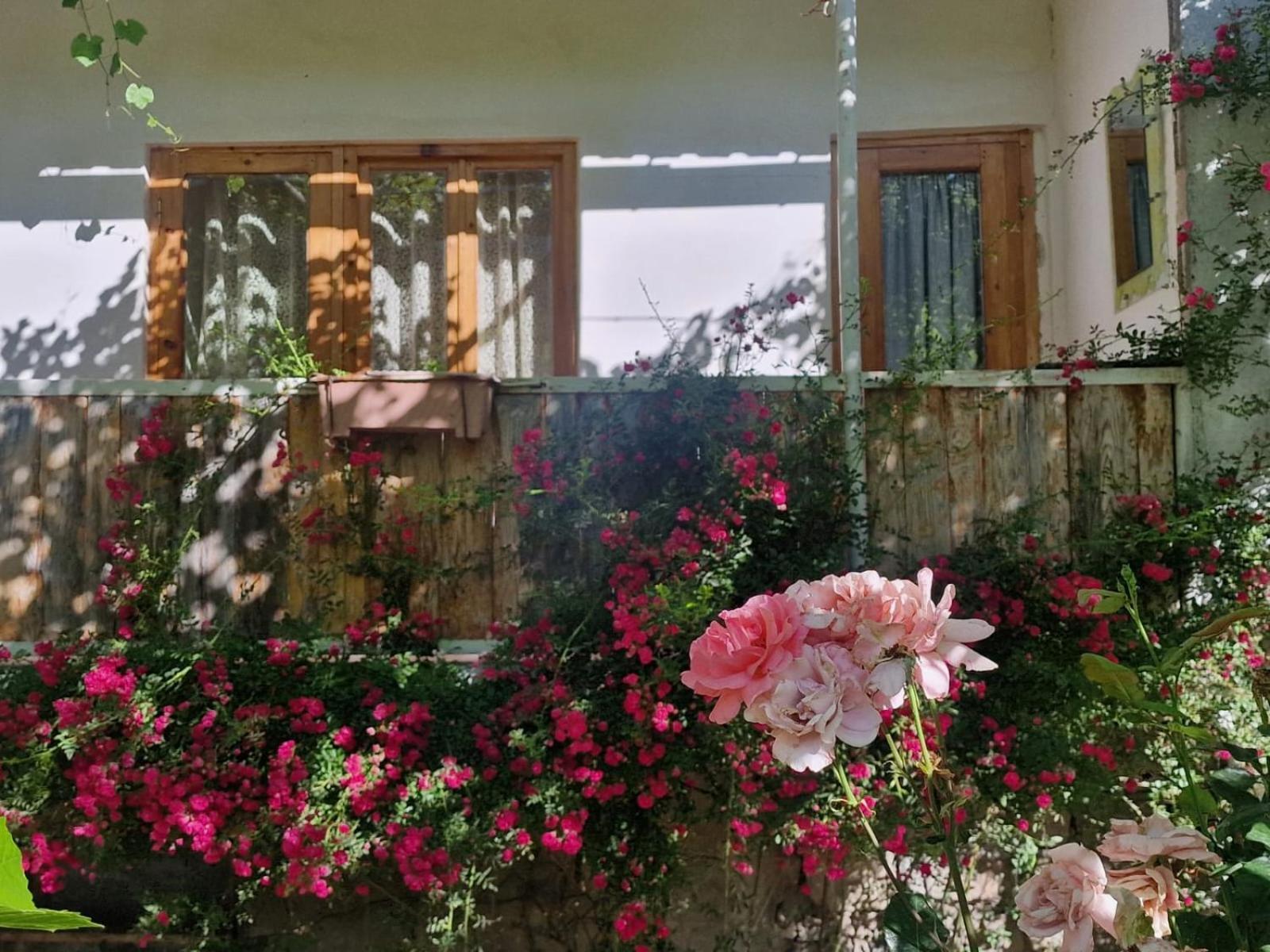 T'mogvi Guest House Aleksandre חדר תמונה
