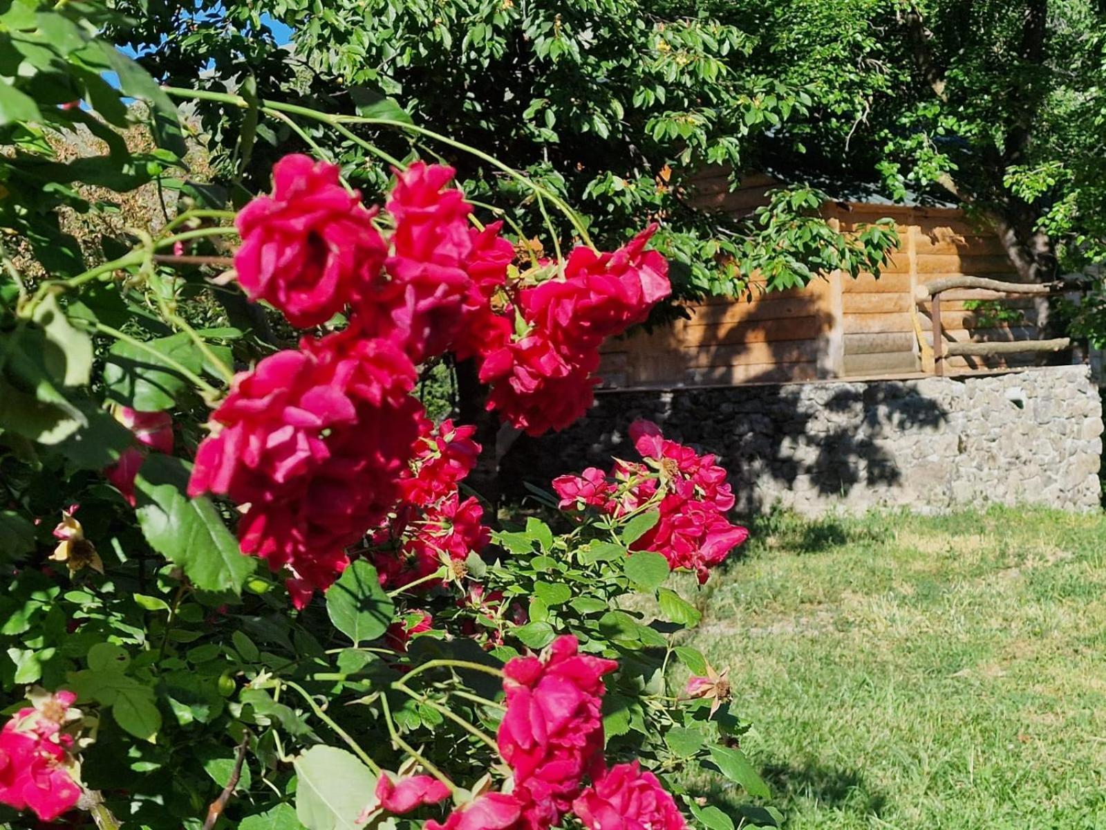 T'mogvi Guest House Aleksandre חדר תמונה